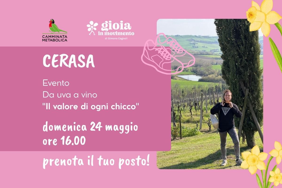 GUERRIERI - DA UVA A VINO