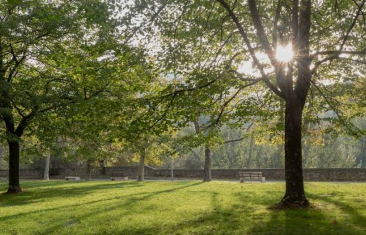 Giardini di viale Galilei Prato 