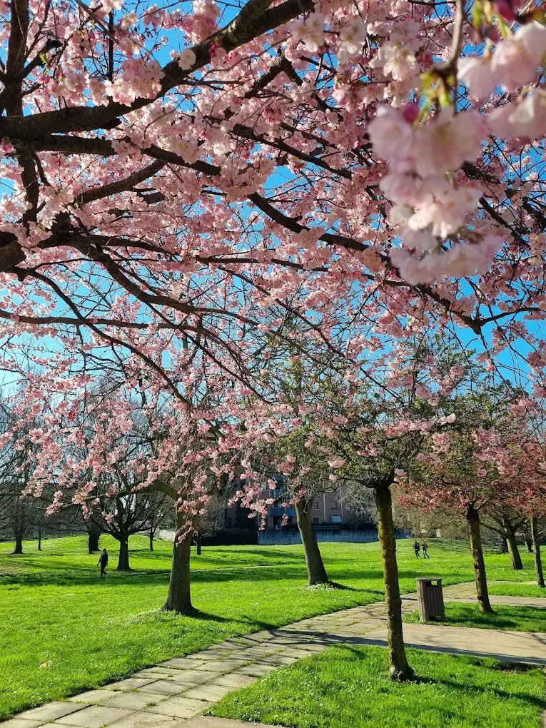 Parco Tori - Paderno Dugnano