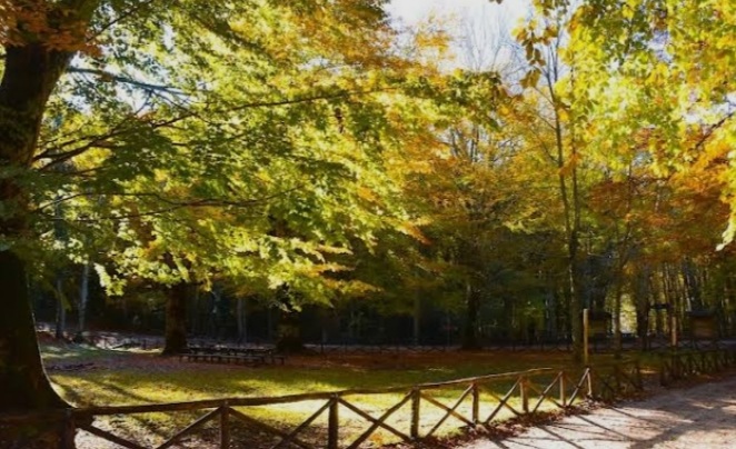 Parco della Forraina 
