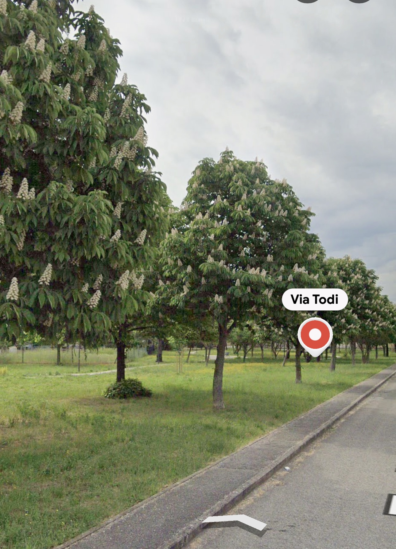 Parco via Todi 