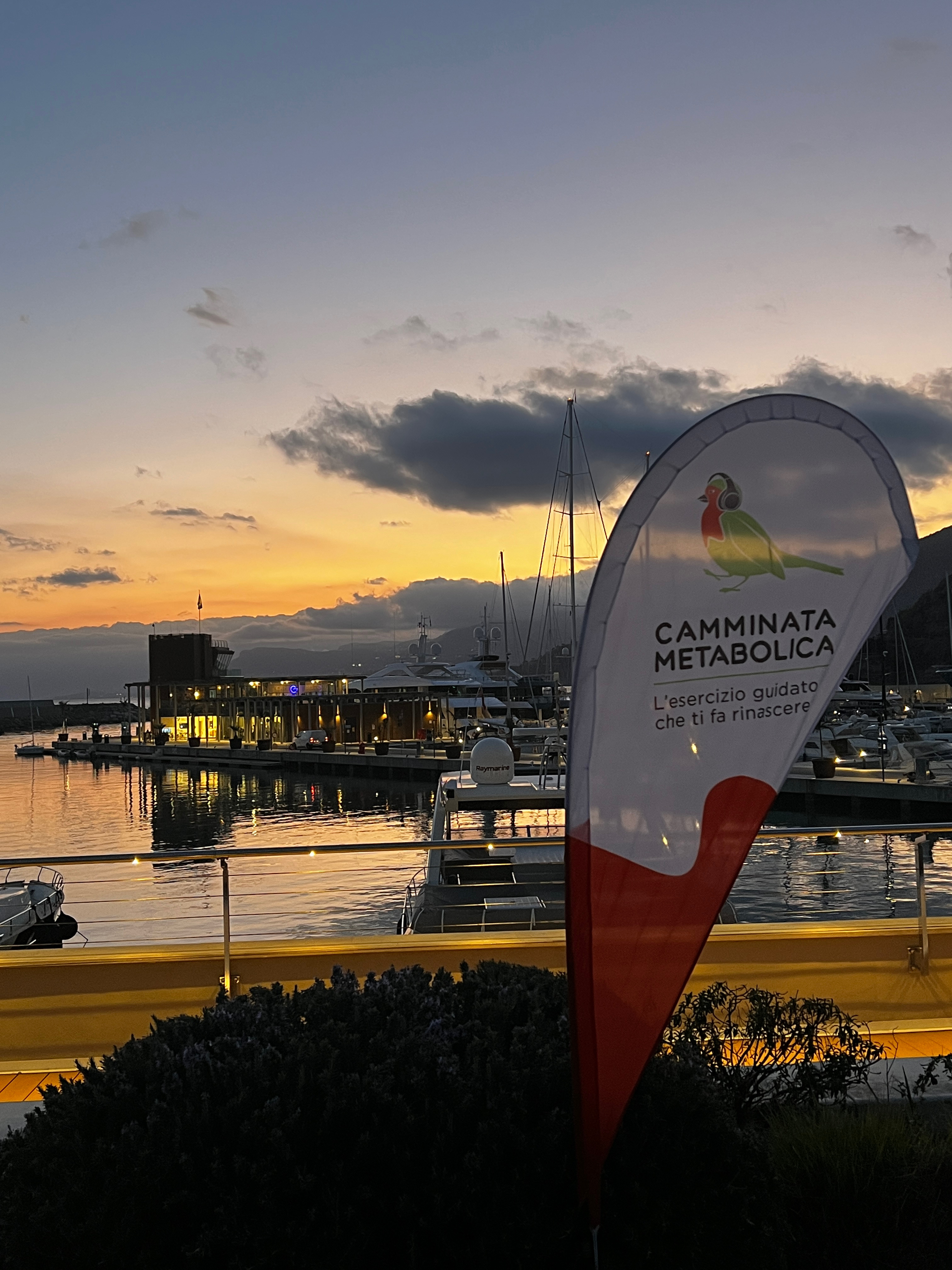 Marina di Cala del Forte 