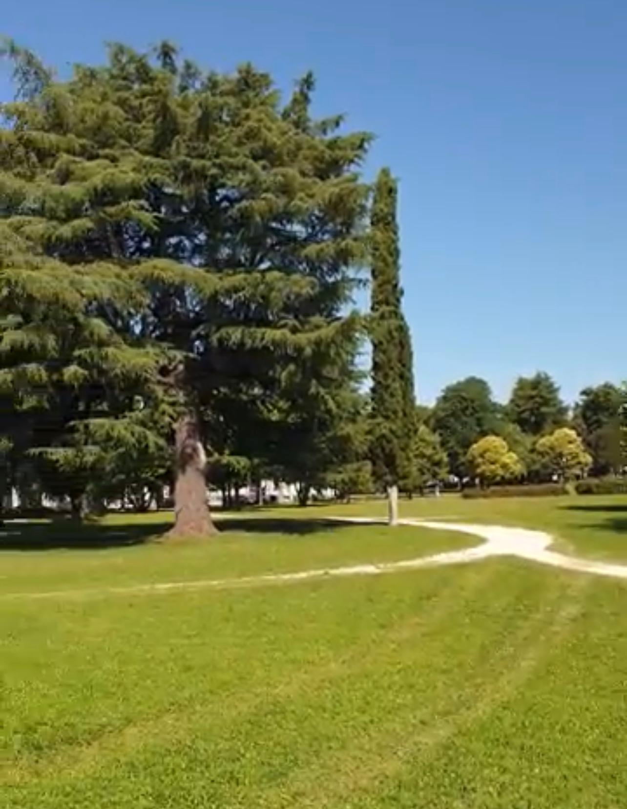 Parco Manin 