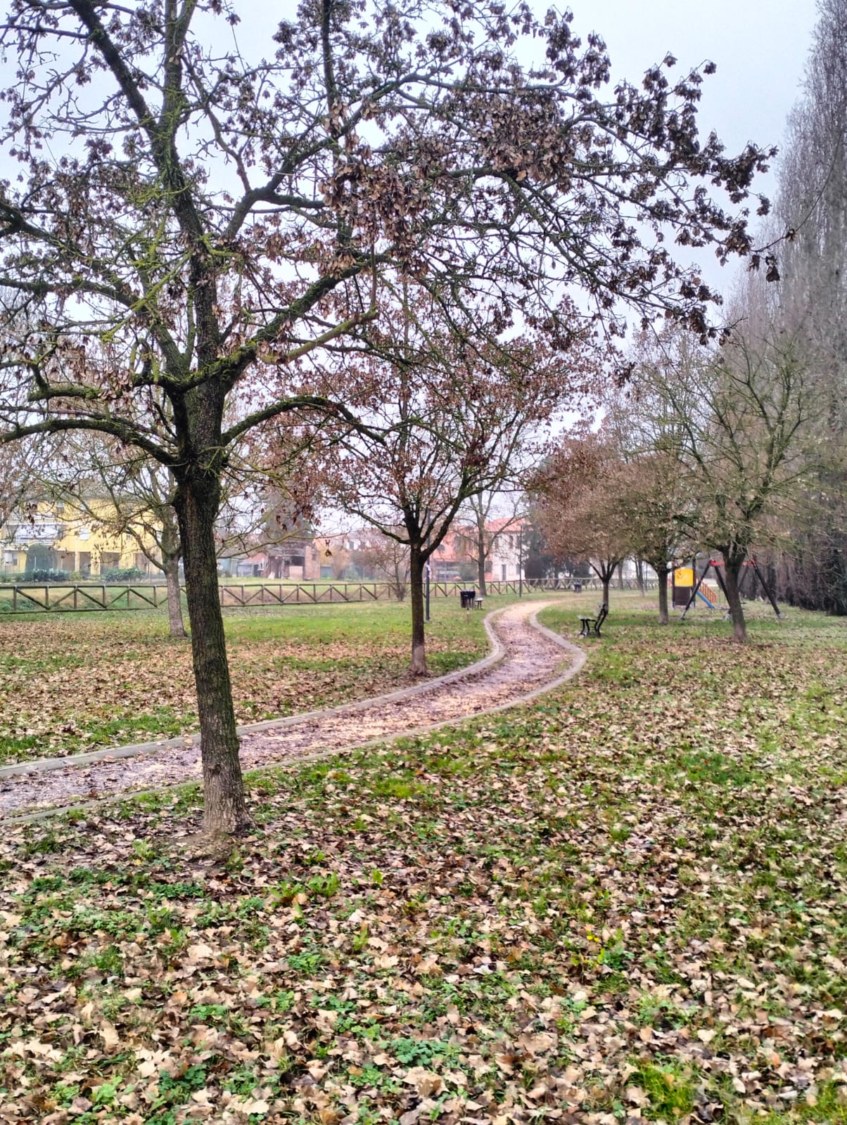 PARCO DELLE ROTOLE 