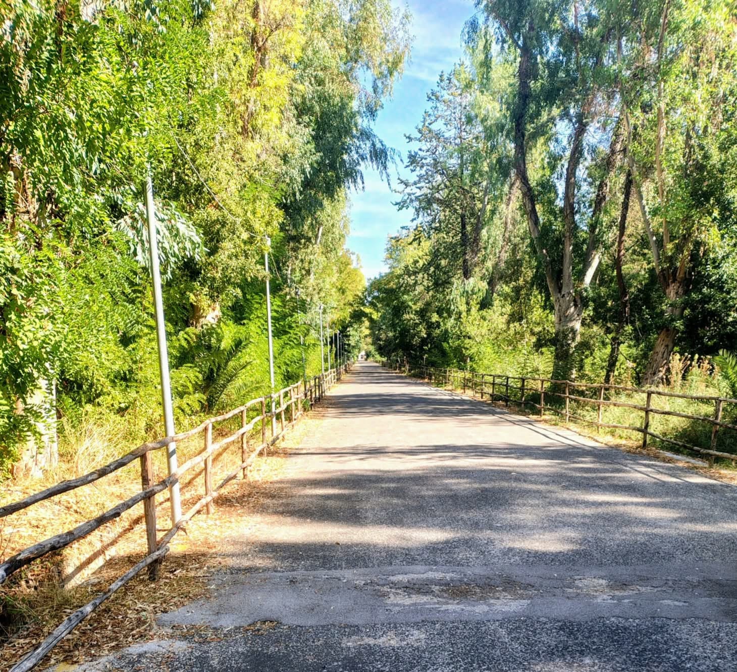 Campo Laudato Sì (Area Ex Ma.C.Ri.Co)