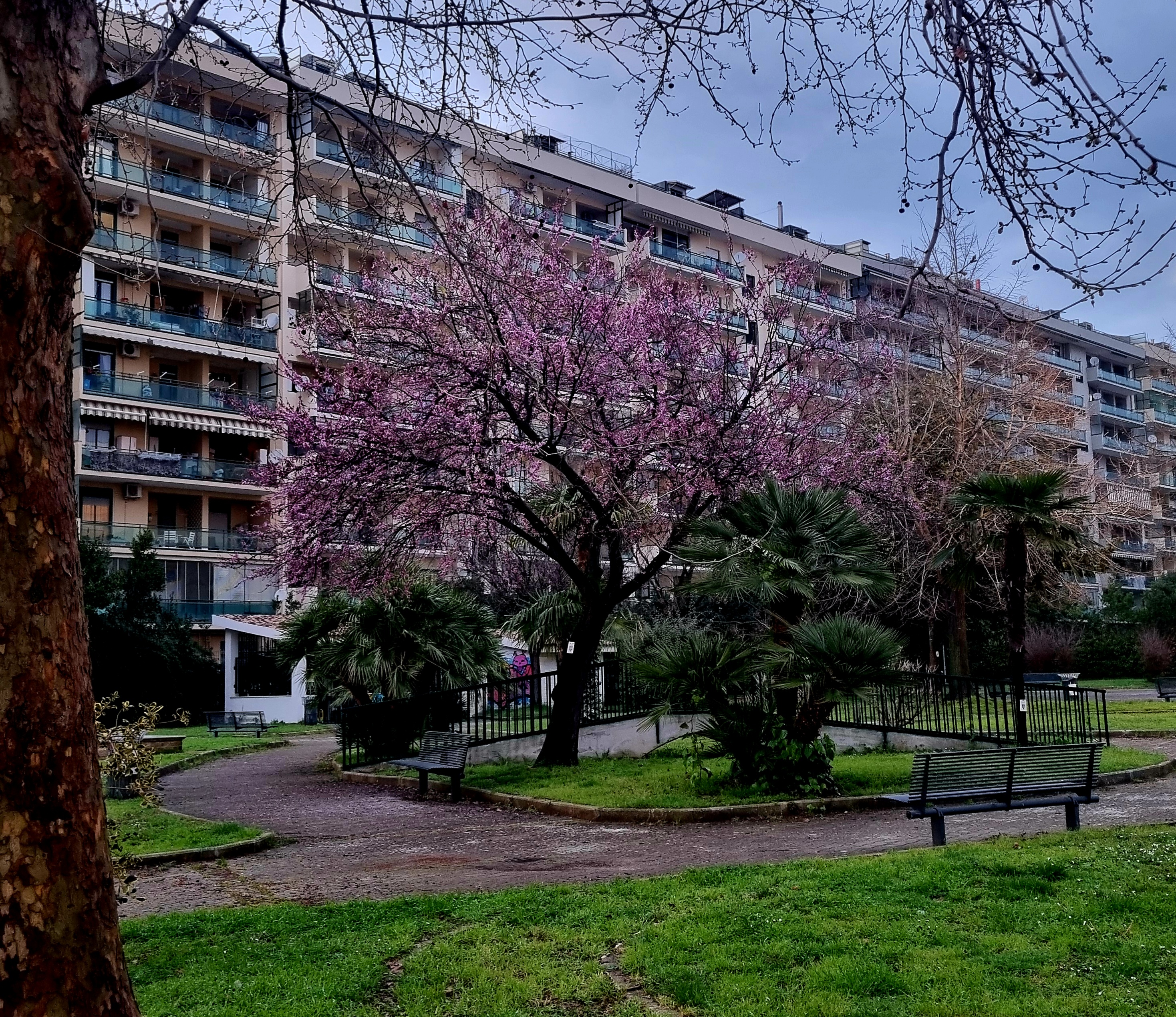 VILLETTA Santa Maria delle Beatitudini , zona 167