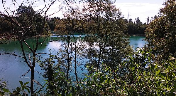 Parco del Laghetto di Nerviano (Vassallo)