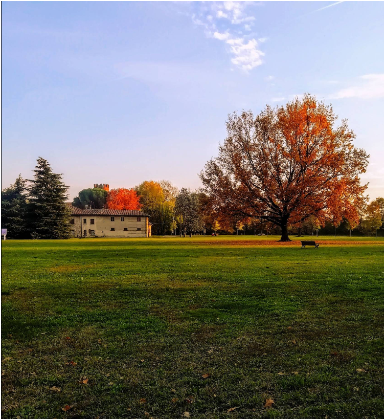 Parco Dante Meaglia (Castello Malgrà)