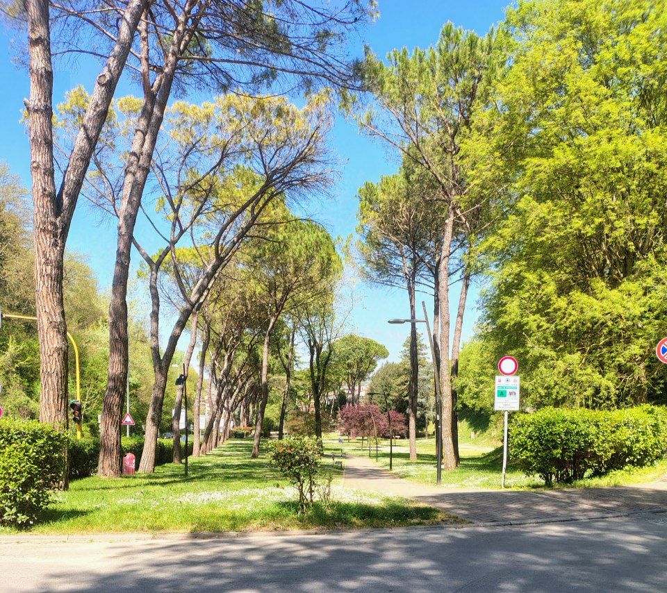 Parco del Vallone Poggibonsi 