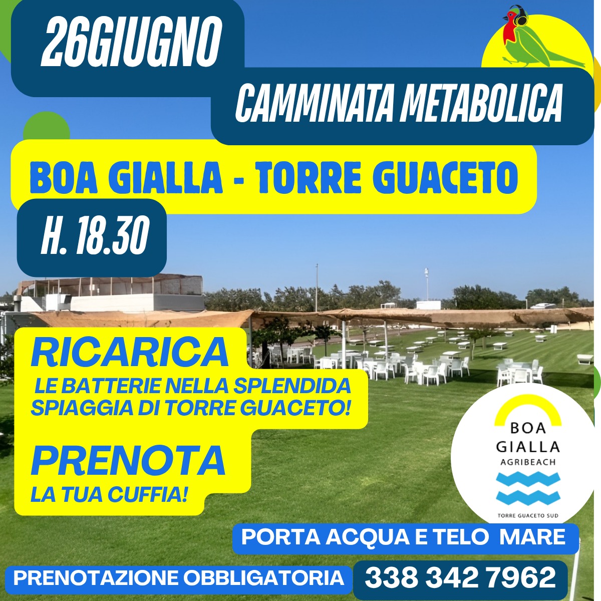 Boa Gialla Agribeach (Torre Guaceto Sud)