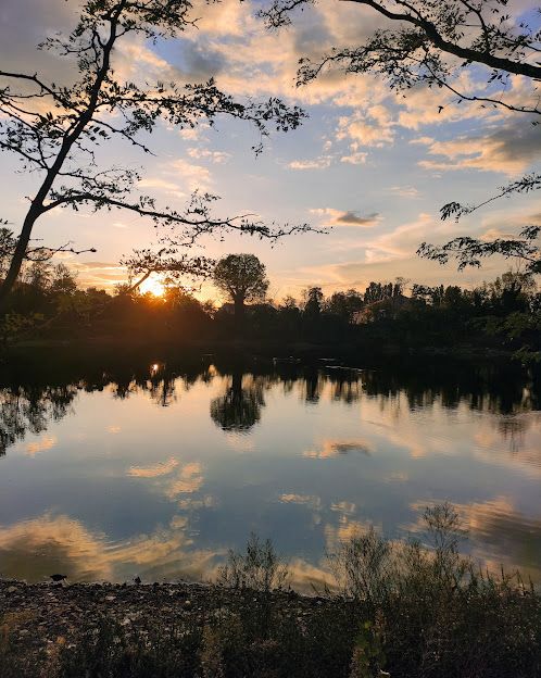 Parco Paul Piercy Harris