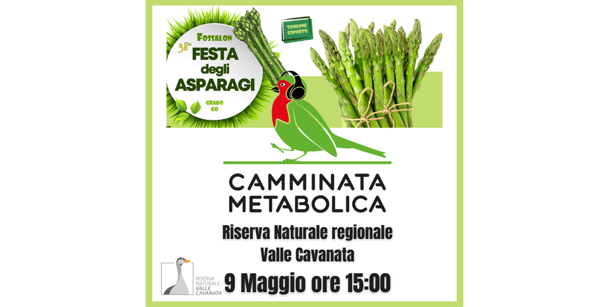 FVG -Festa degli Asparagi -Fossalon di Grado (GO)