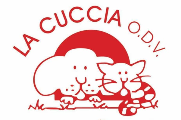 Dobbia lezione dimostrativa gratuita