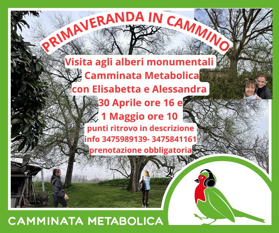 BUDRIO - PRIMAVERANDA IN CAMMINO 