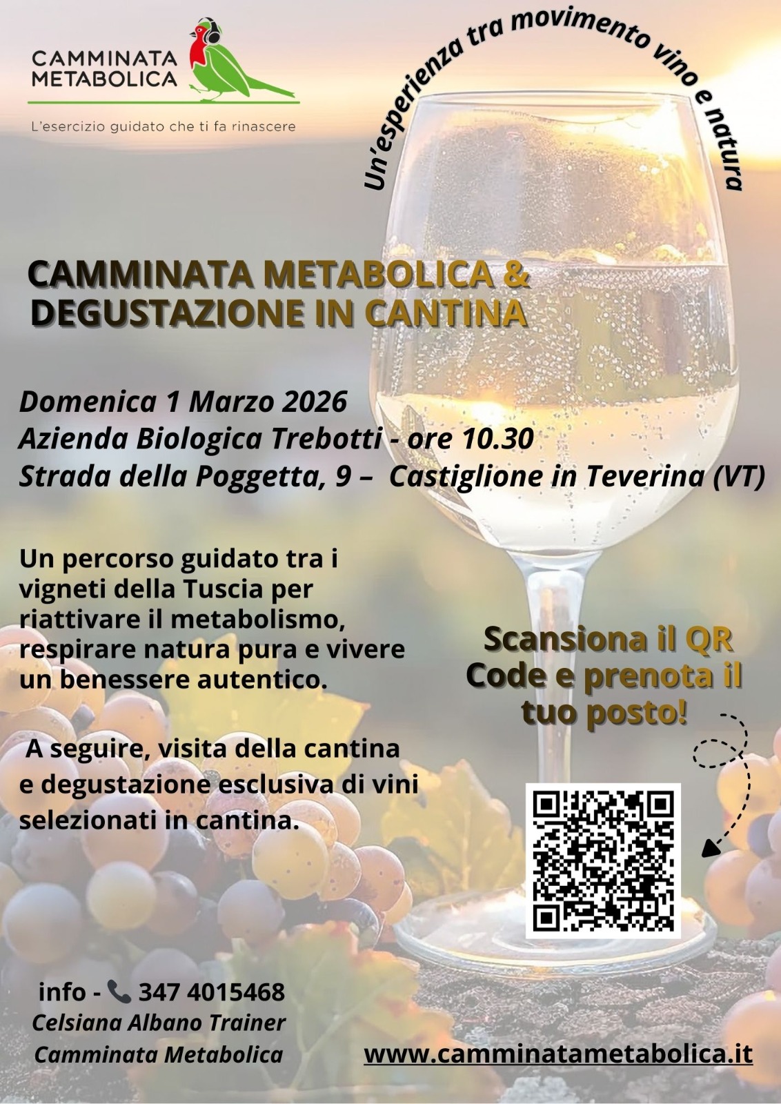 CASTIGLIONE IN TEVERINA (VT) - DEGUSTAZIONE IN CANTINA