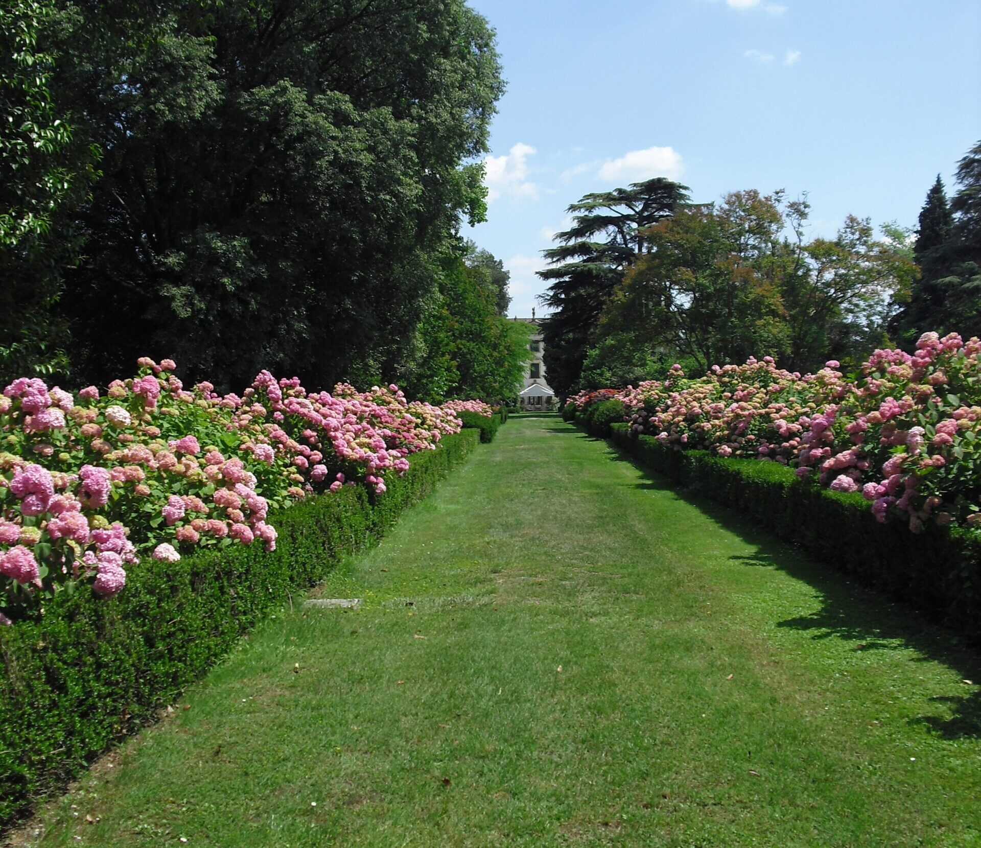VERONA 🌿 UN PASSO NEL PARADISO: CAMMINATA METABOLICA A CORTE PIGNO