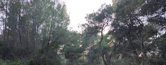 RISERVA NATURALE DANNUNZIANA