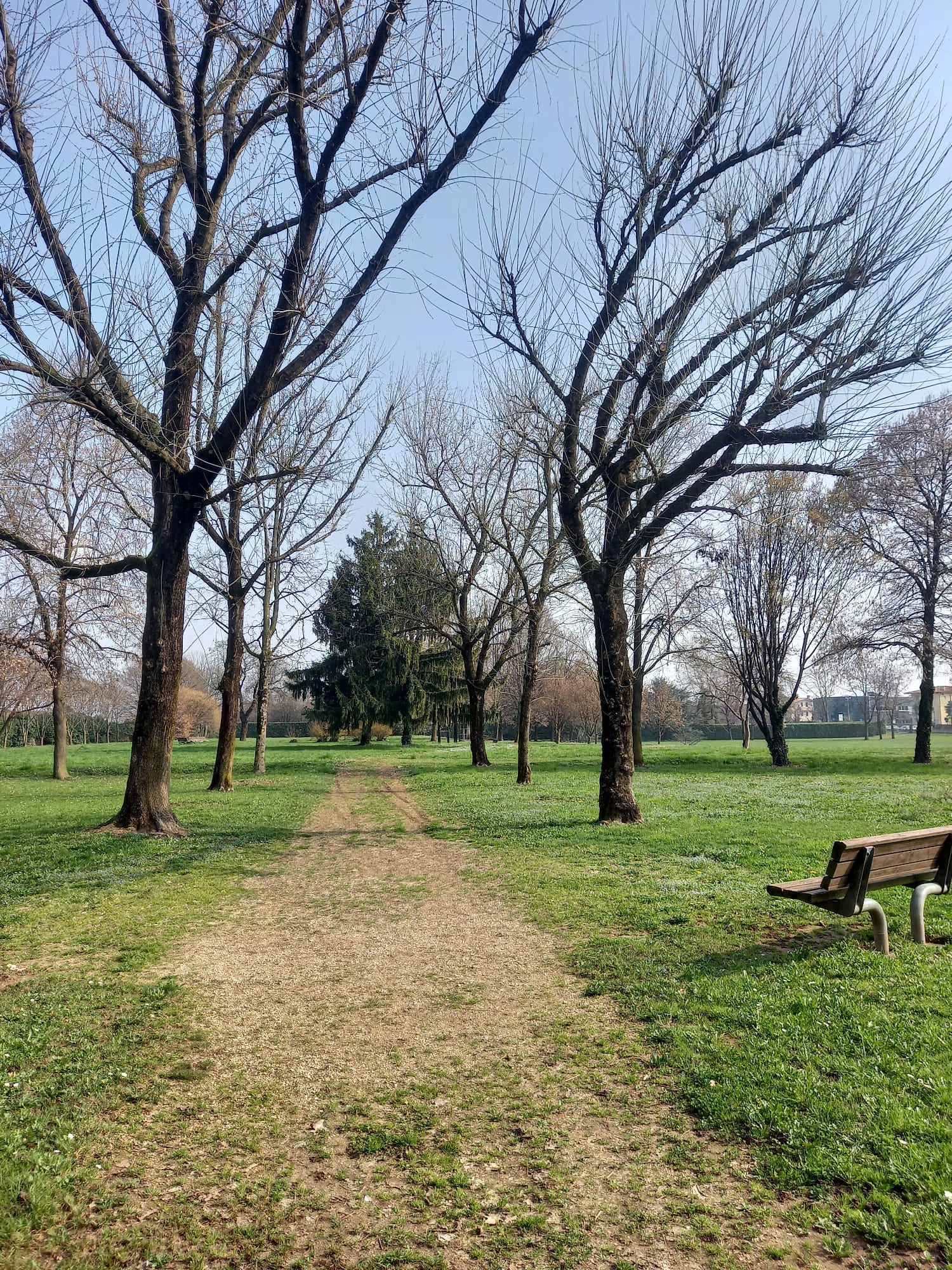 Parco Comunale di Villaverla